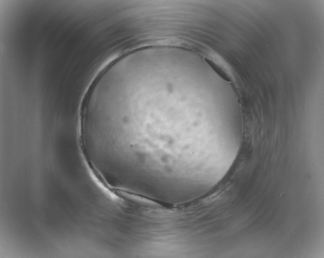 X0000068851095200605191945