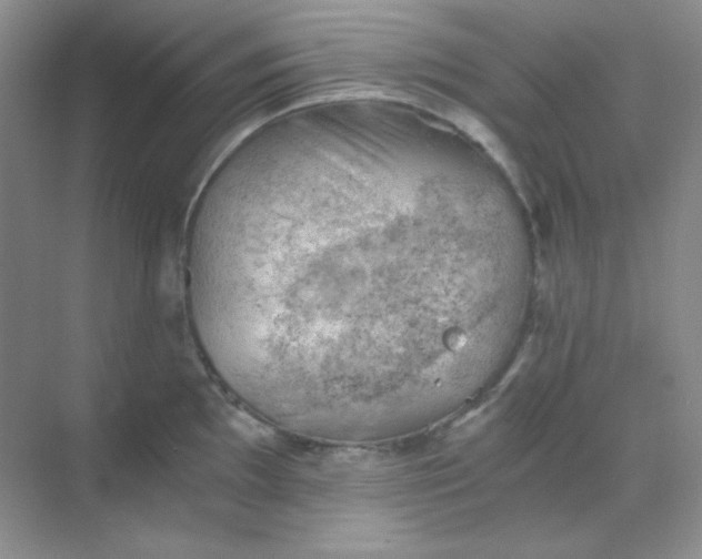 X0000068851097200605191945