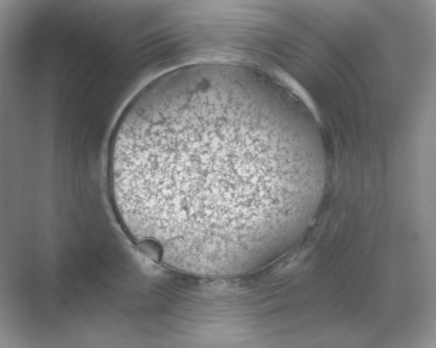 X0000068851099200605191945