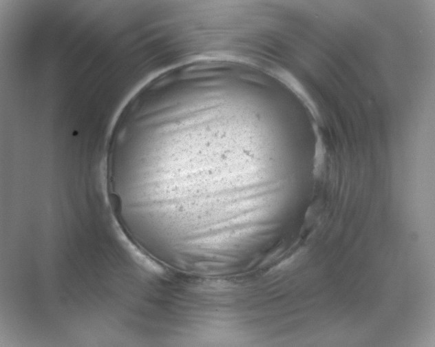 X0000068851100200605191945