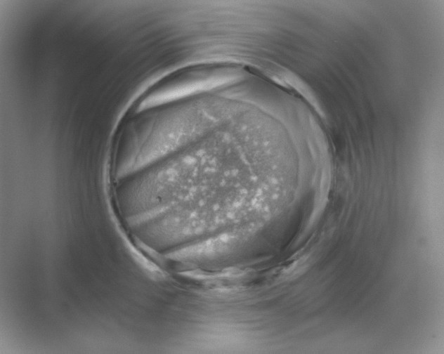 X0000068851101200605191945