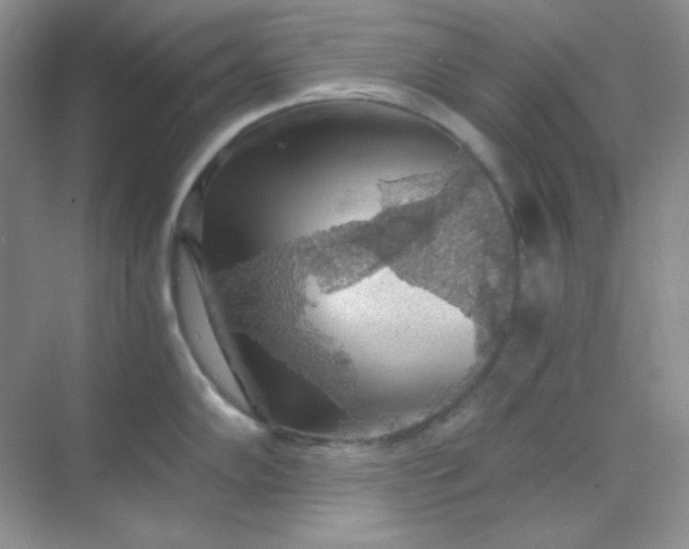 X0000068851102200605191945