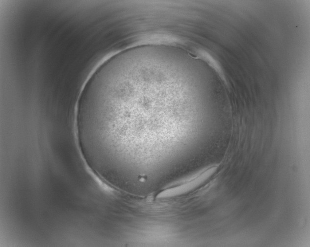 X0000068851103200605191945