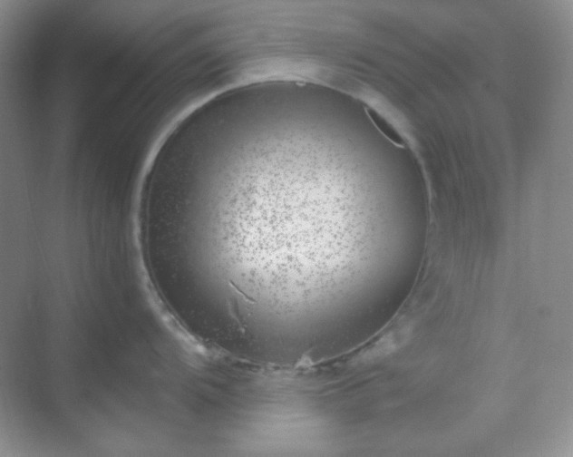 X0000068851104200605191945