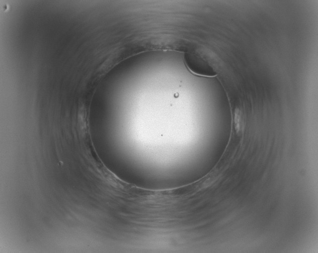 X0000068851107200605191944