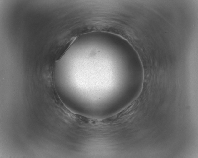 X0000068851109200605191944