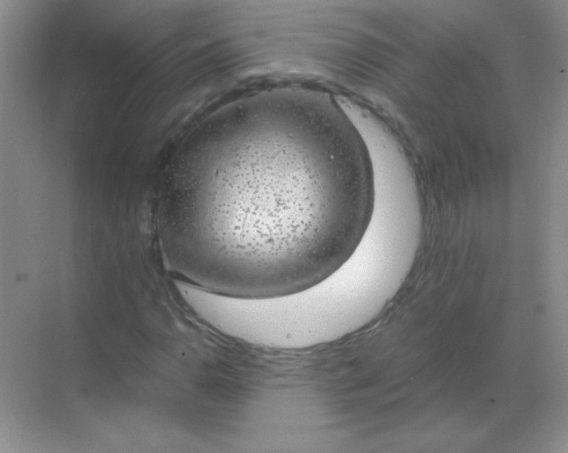 X0000068851110200605191944