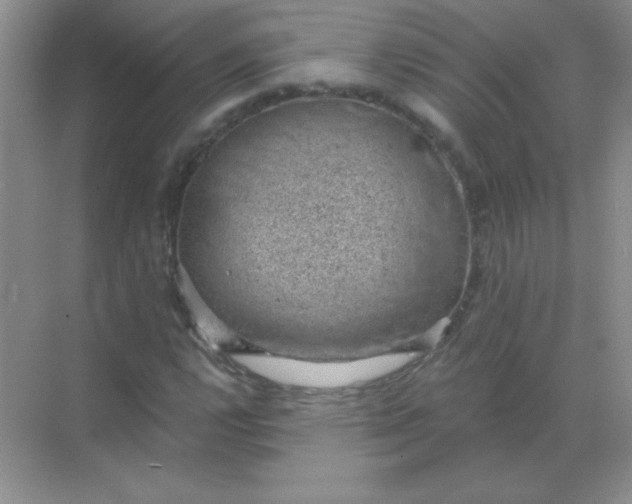 X0000068851112200605191944