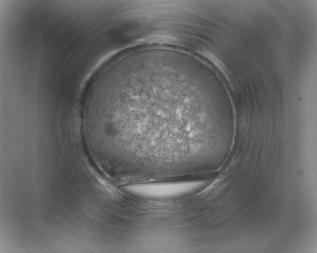 X0000068851115200605191944