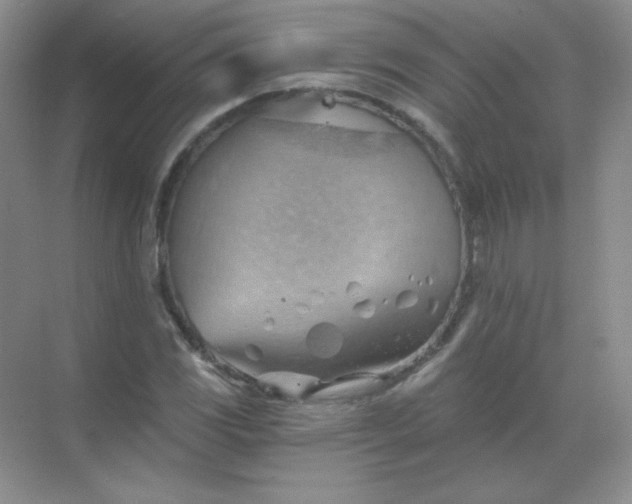 X0000068851117200605191944