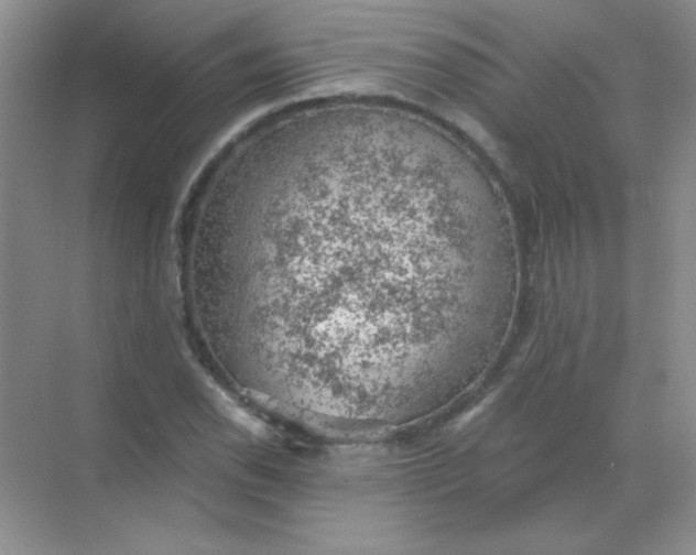 X0000068851118200605191944