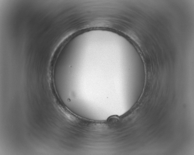 X0000068851119200605191944