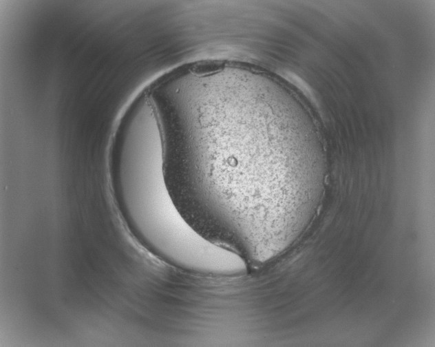 X0000068851120200605191944