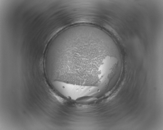 X0000068851121200605191944