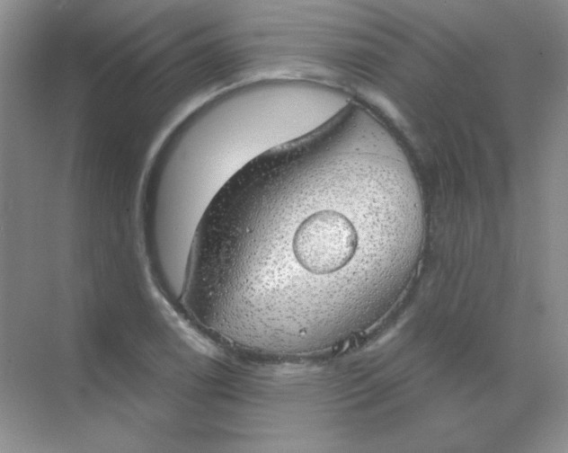 X0000068851122200605191944