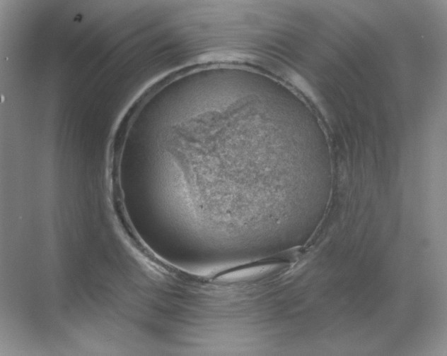 X0000068851124200605191944