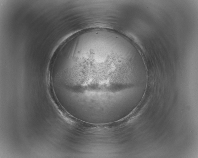 X0000068851125200605191944