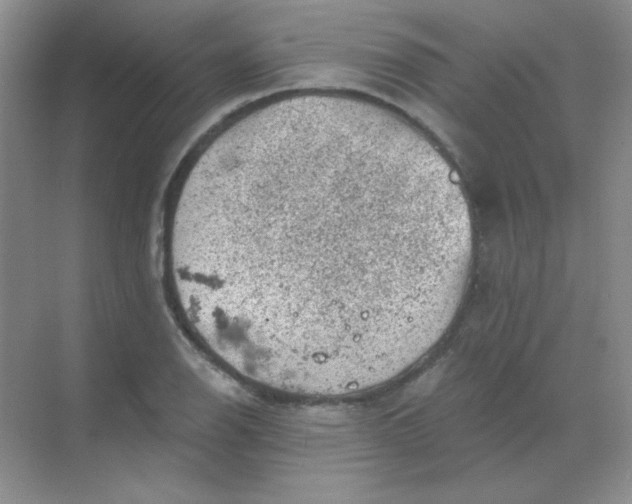 X0000068851126200605191944