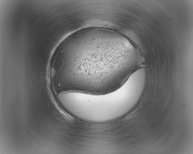 X0000068851128200605191944