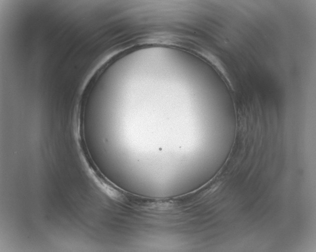 X0000068851131200605191944