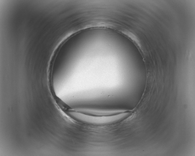 X0000068851135200605191944