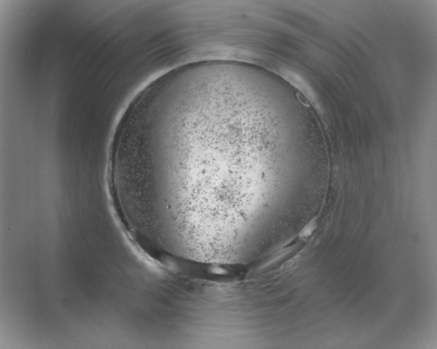 X0000068851136200605191944