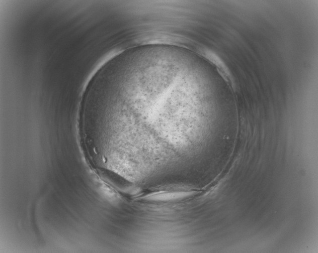 X0000068851138200605191944