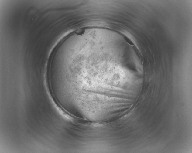 X0000068851139200605191944