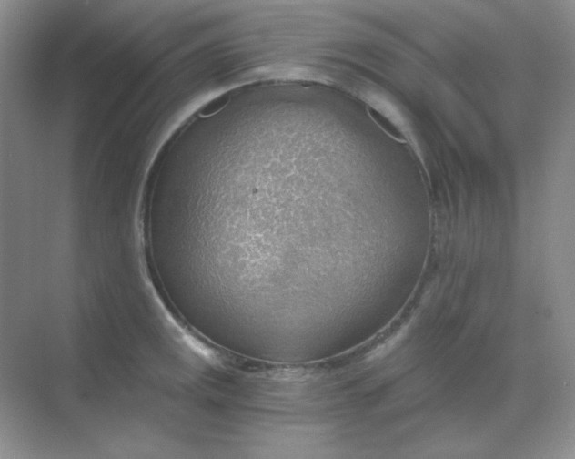 X0000068851141200605191944