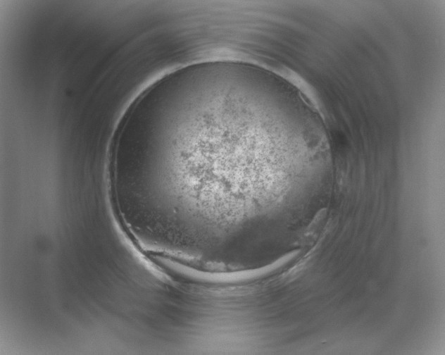 X0000068851142200605191945