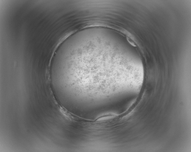 X0000068851145200605191945