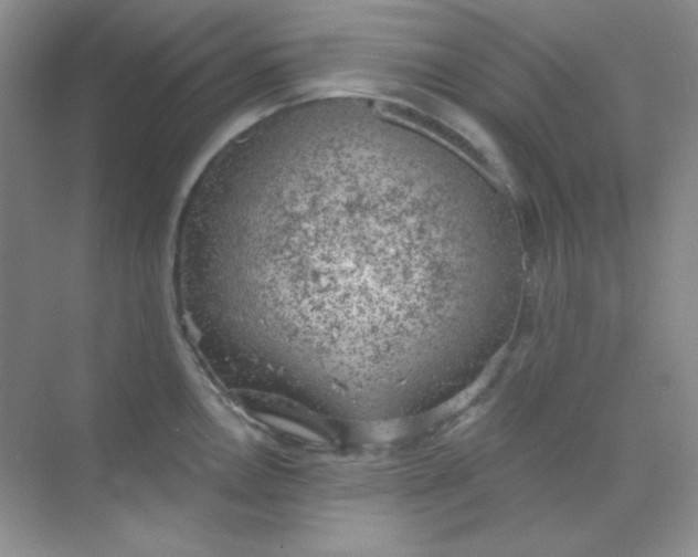 X0000068851146200605191945