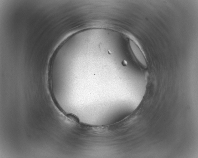 X0000068851147200605191945