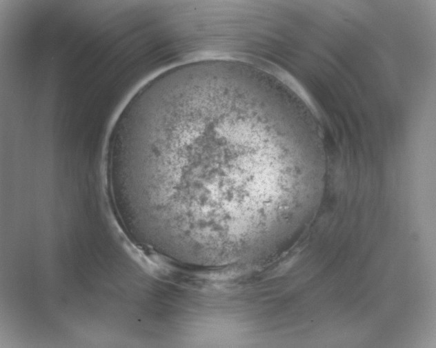 X0000068851148200605191945