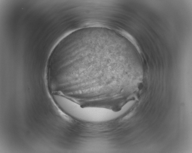 X0000068851149200605191945