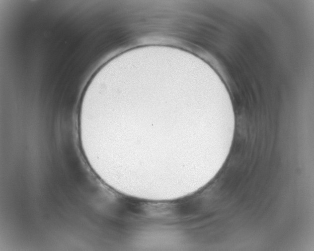 X0000068851150200605191945