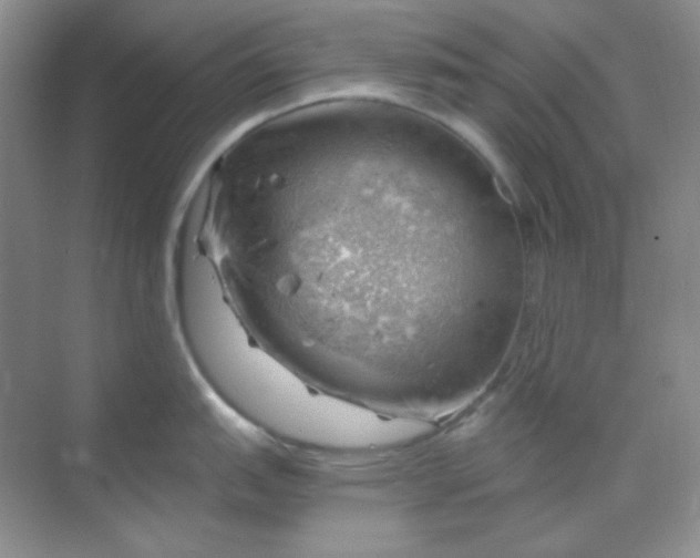 X0000068851151200605191945