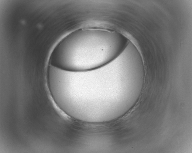 X0000068851152200605191945