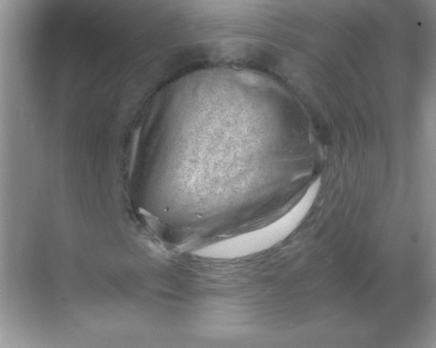 X0000068851153200605191944