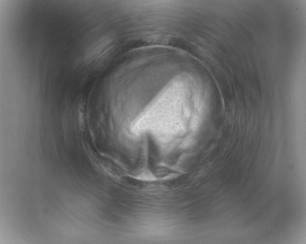 X0000068851154200605191944