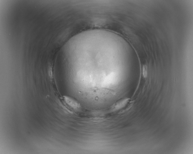 X0000068851155200605191944