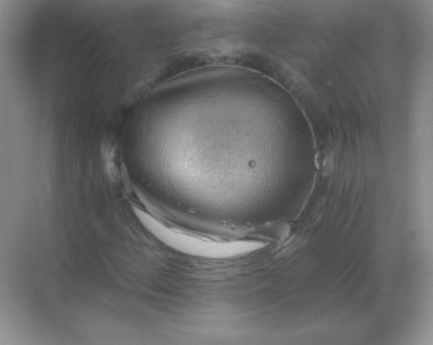 X0000068851156200605191944