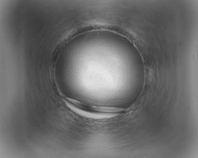 X0000068851157200605191944