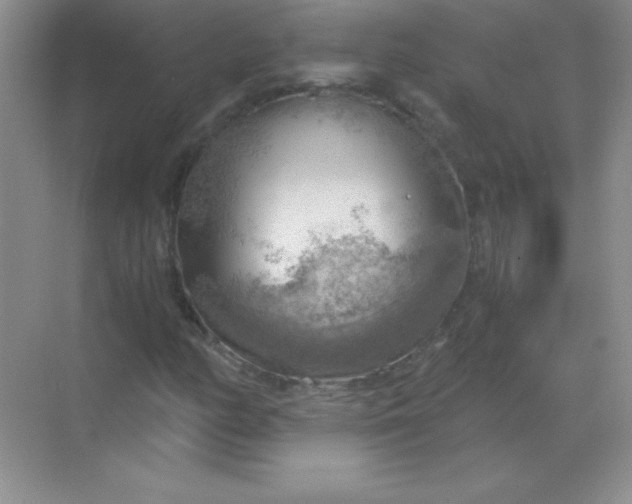 X0000068851158200605191944