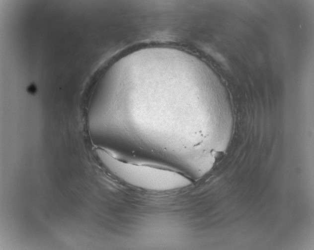 X0000068851160200605191944