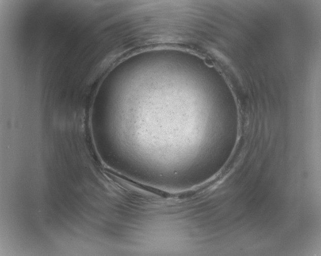 X0000068851161200605191944