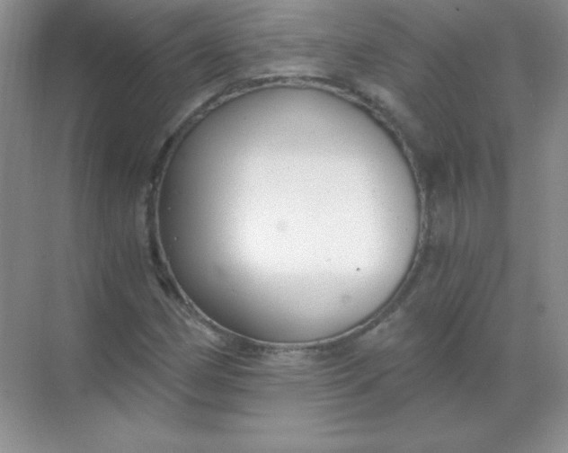 X0000068851162200605191944