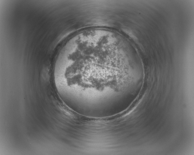 X0000068851163200605191944