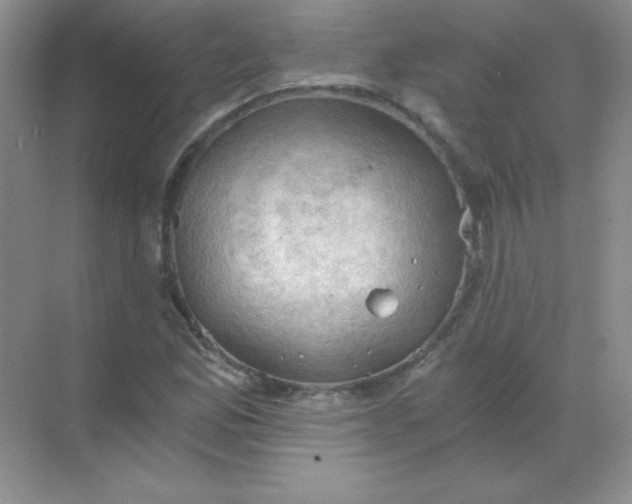 X0000068851165200605191944