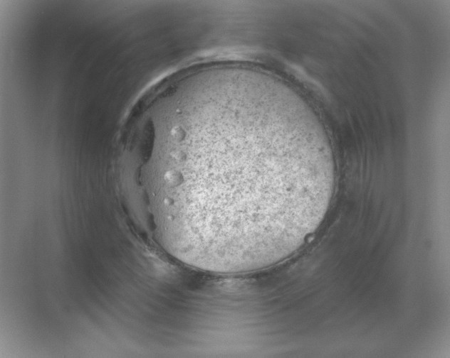 X0000068851166200605191944